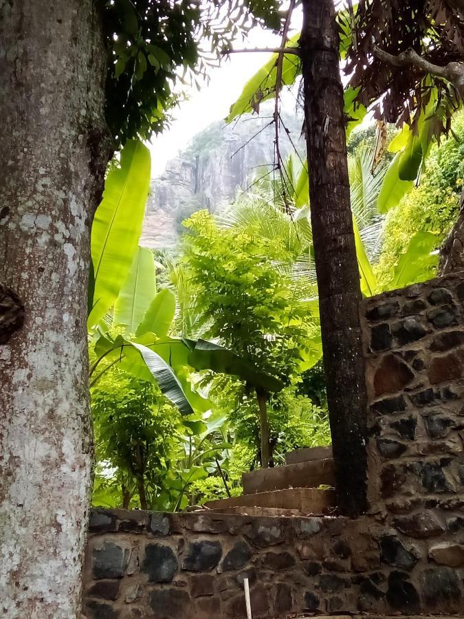Forest Rawana Homestay เอลลา ภายนอก รูปภาพ