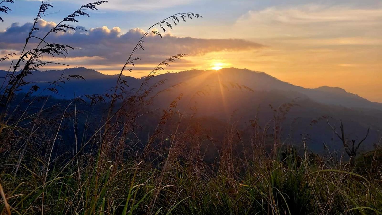 Forest Rawana Homestay เอลลา ภายนอก รูปภาพ