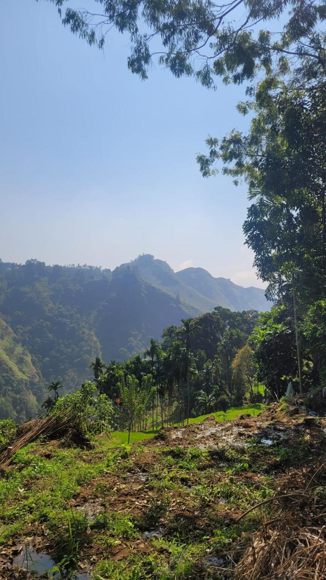 Forest Rawana Homestay เอลลา ภายนอก รูปภาพ