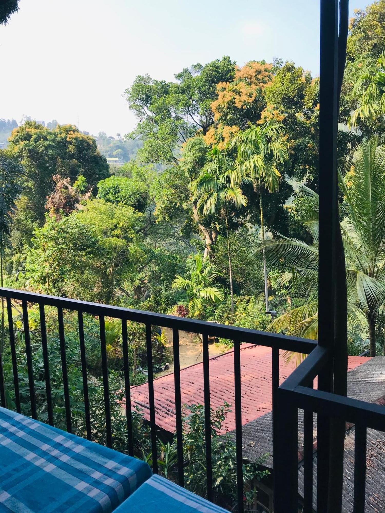 Forest Rawana Homestay เอลลา ภายนอก รูปภาพ