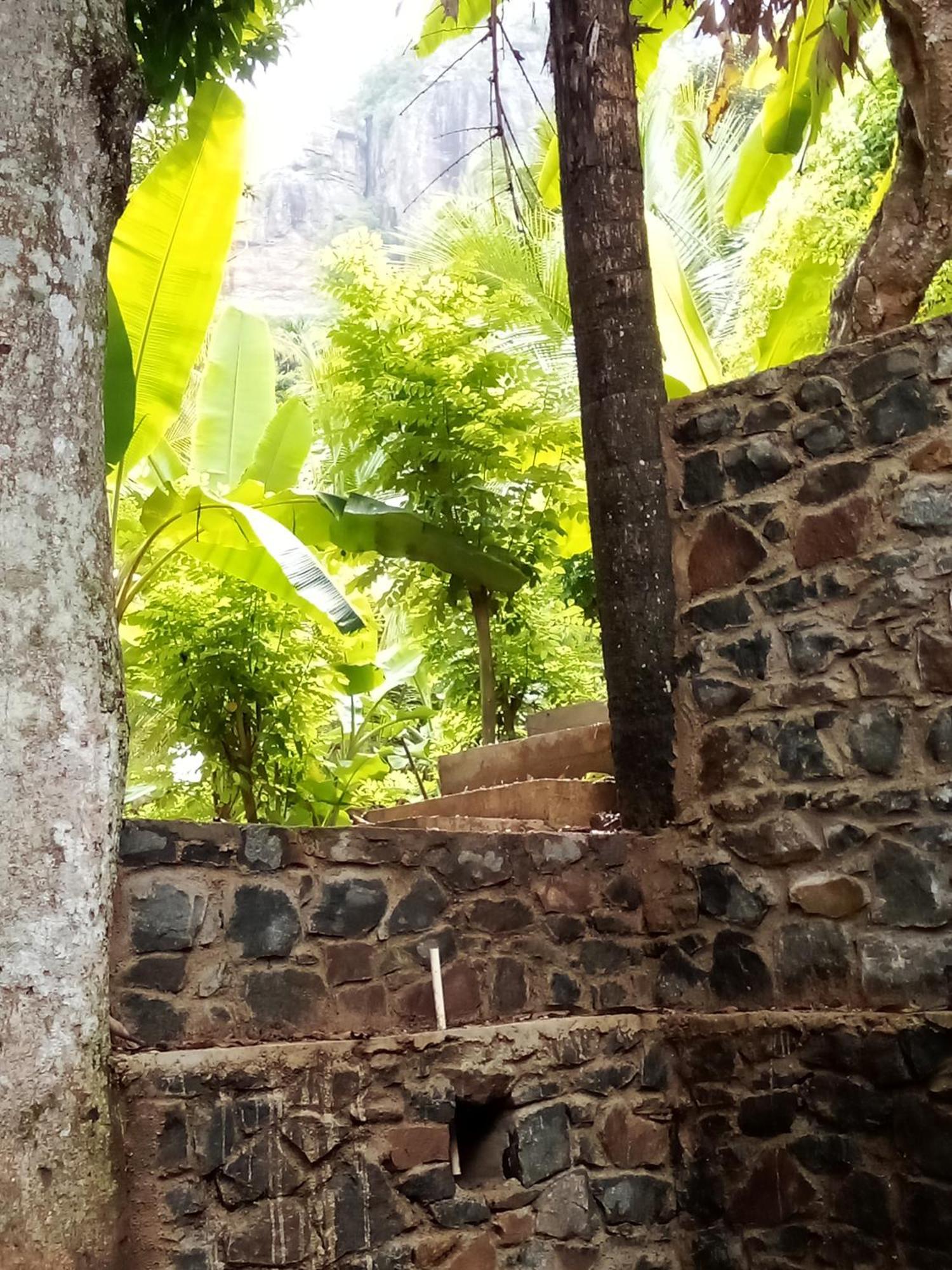 Forest Rawana Homestay เอลลา ภายนอก รูปภาพ
