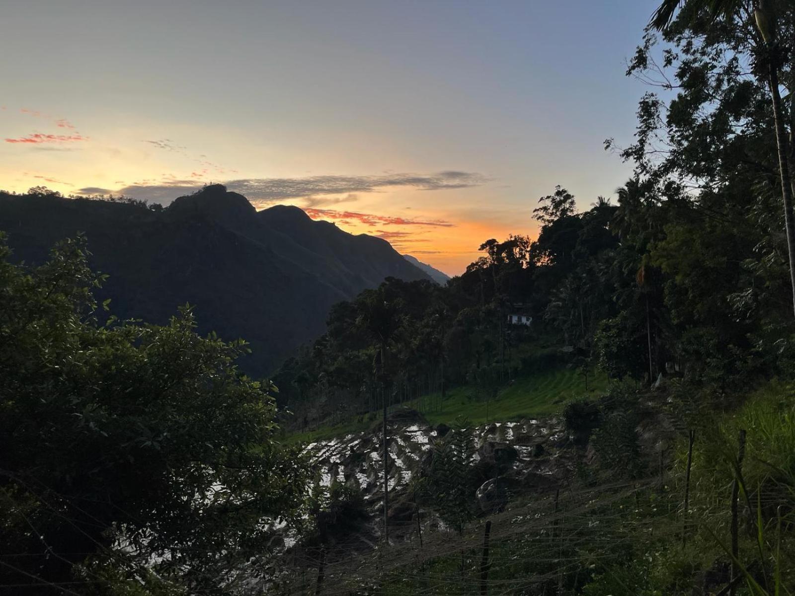Forest Rawana Homestay เอลลา ภายนอก รูปภาพ