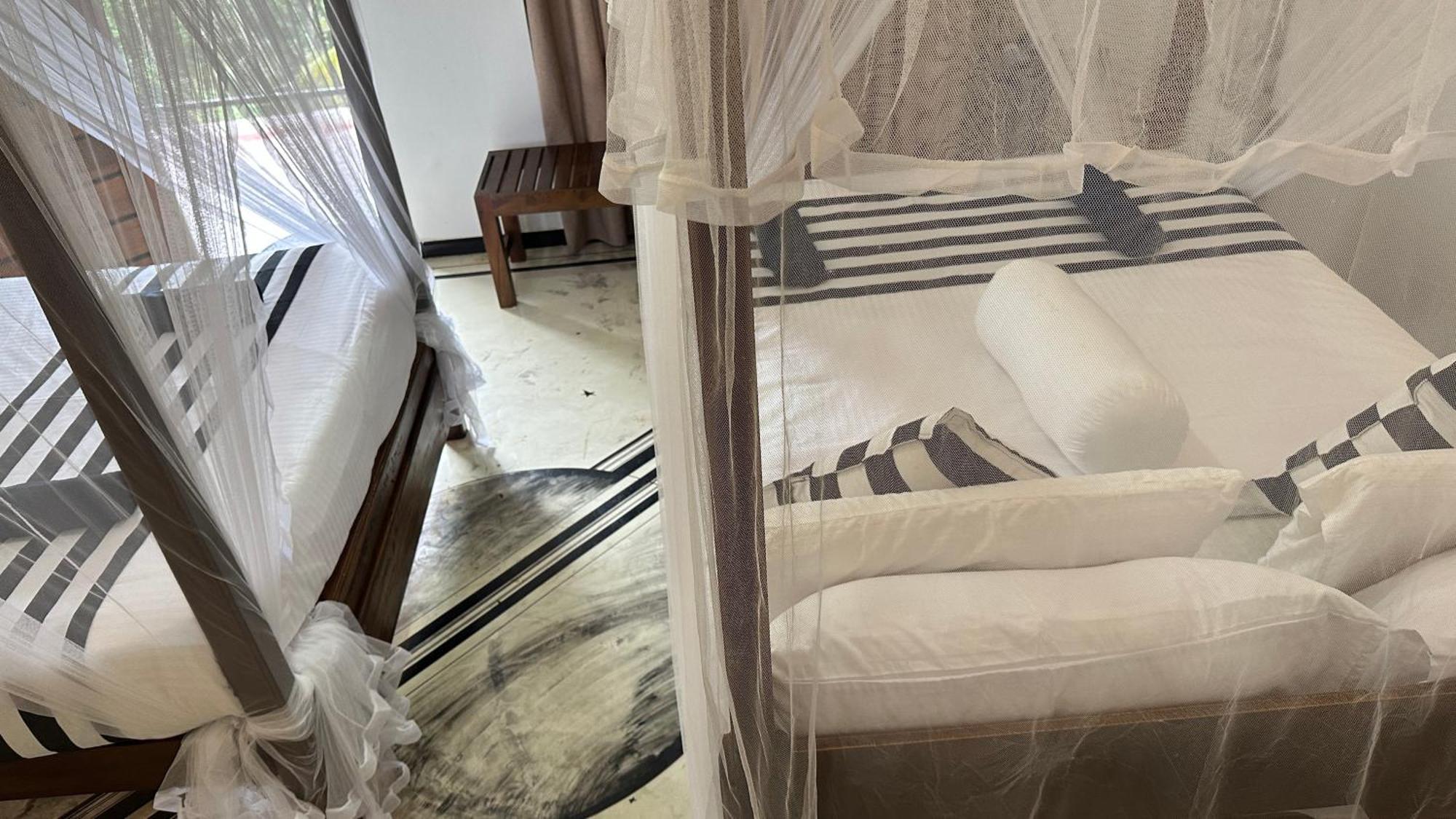 Forest Rawana Homestay เอลลา ห้อง รูปภาพ
