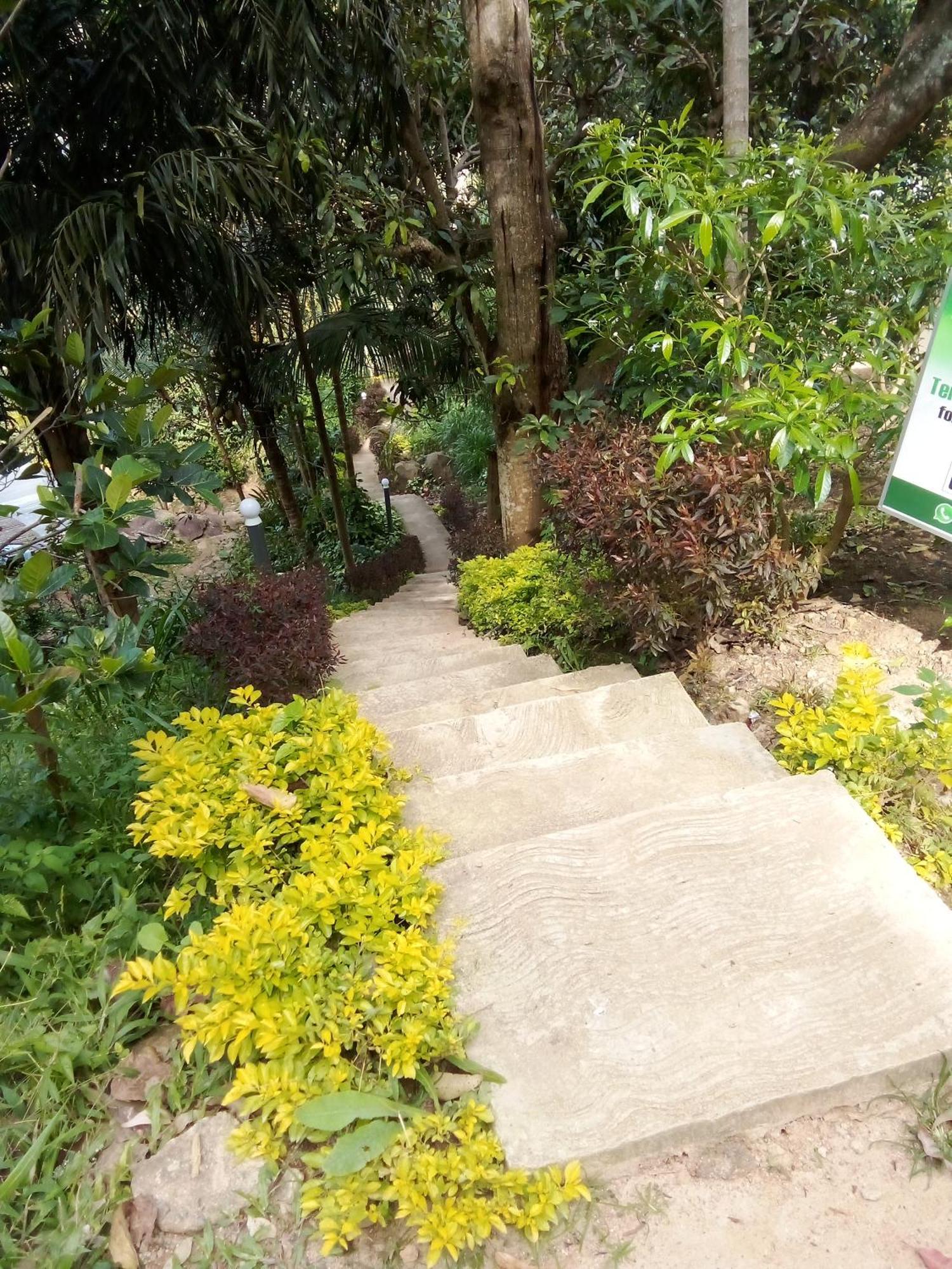 Forest Rawana Homestay เอลลา ภายนอก รูปภาพ