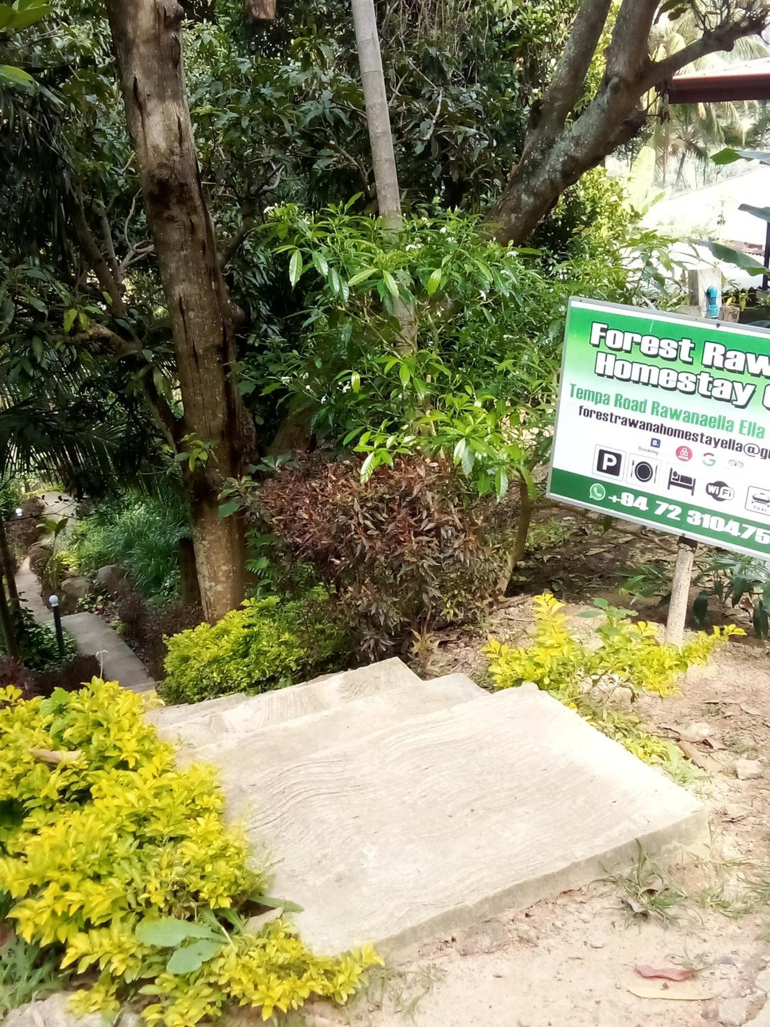 Forest Rawana Homestay เอลลา ภายนอก รูปภาพ